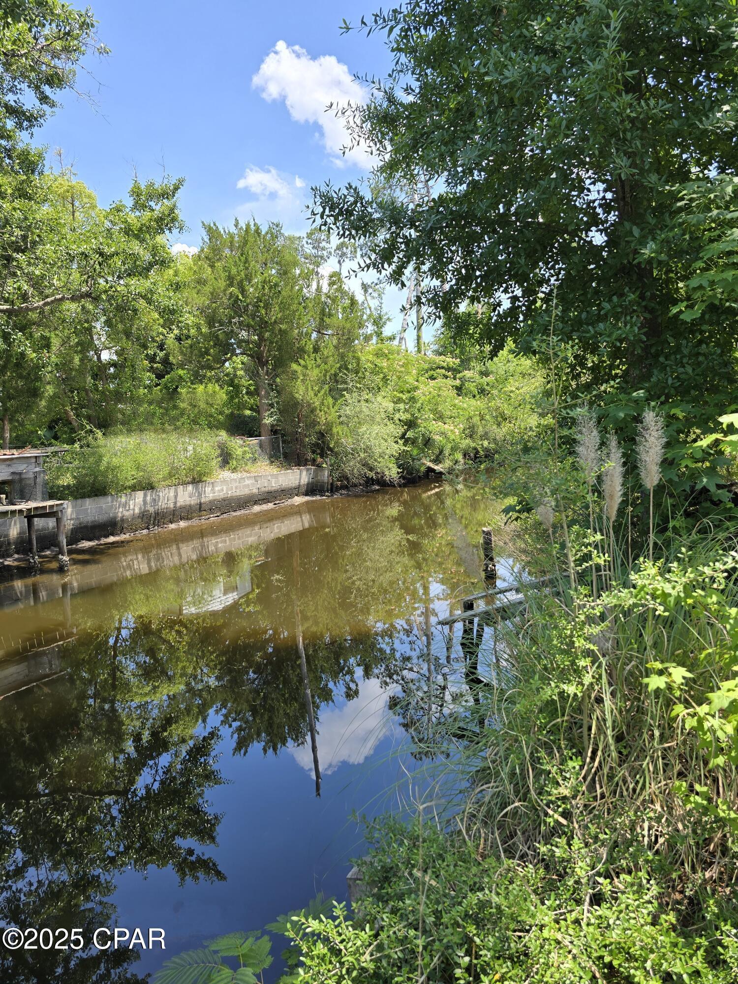 Image 1: back canal