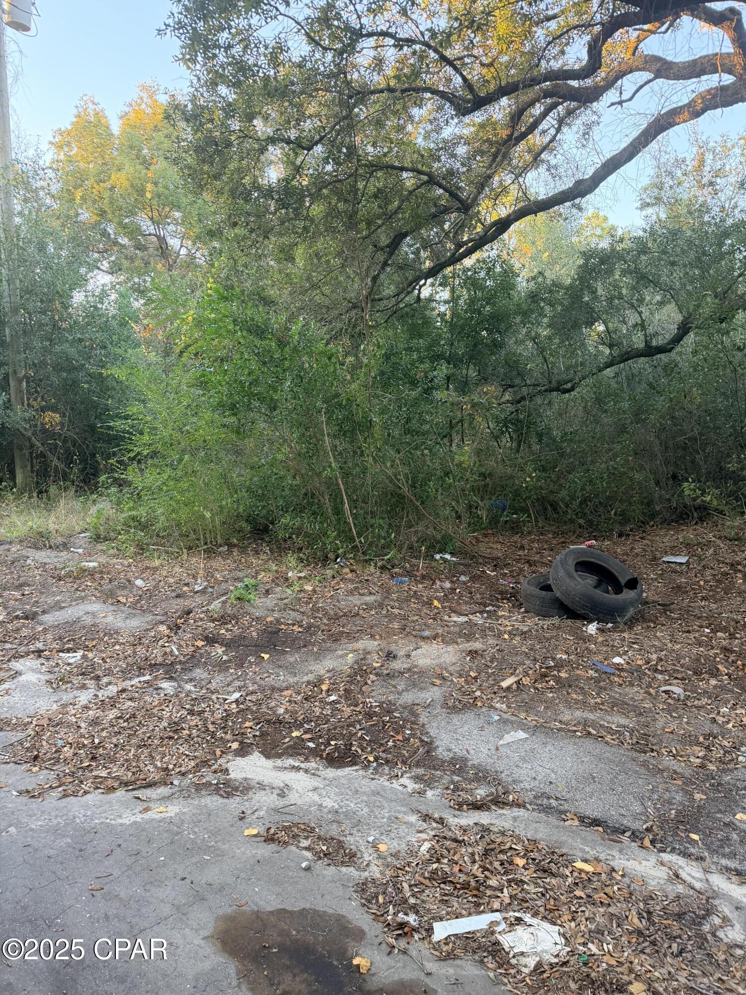 Image 3: IMG_0347