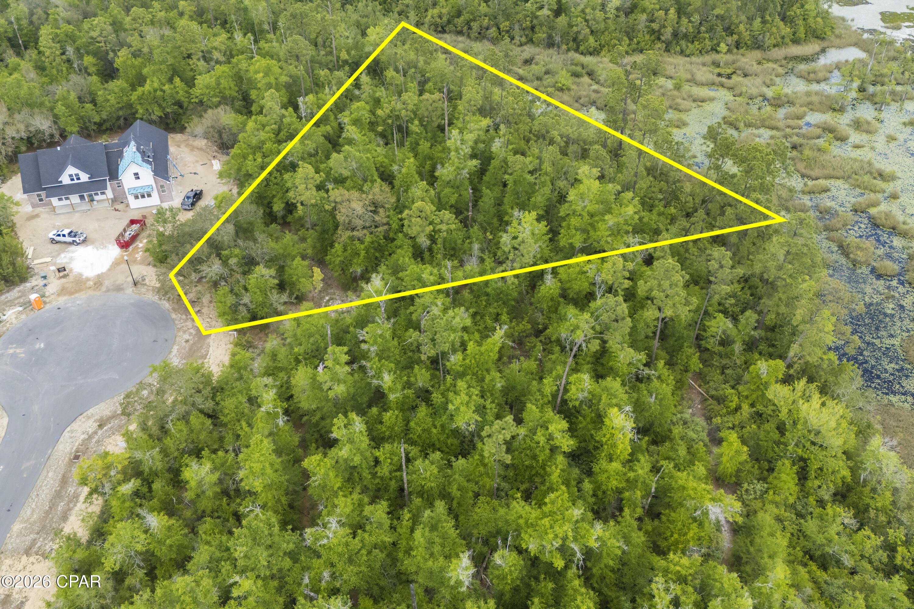 Image 3: 9916-summer-creek-drive-003