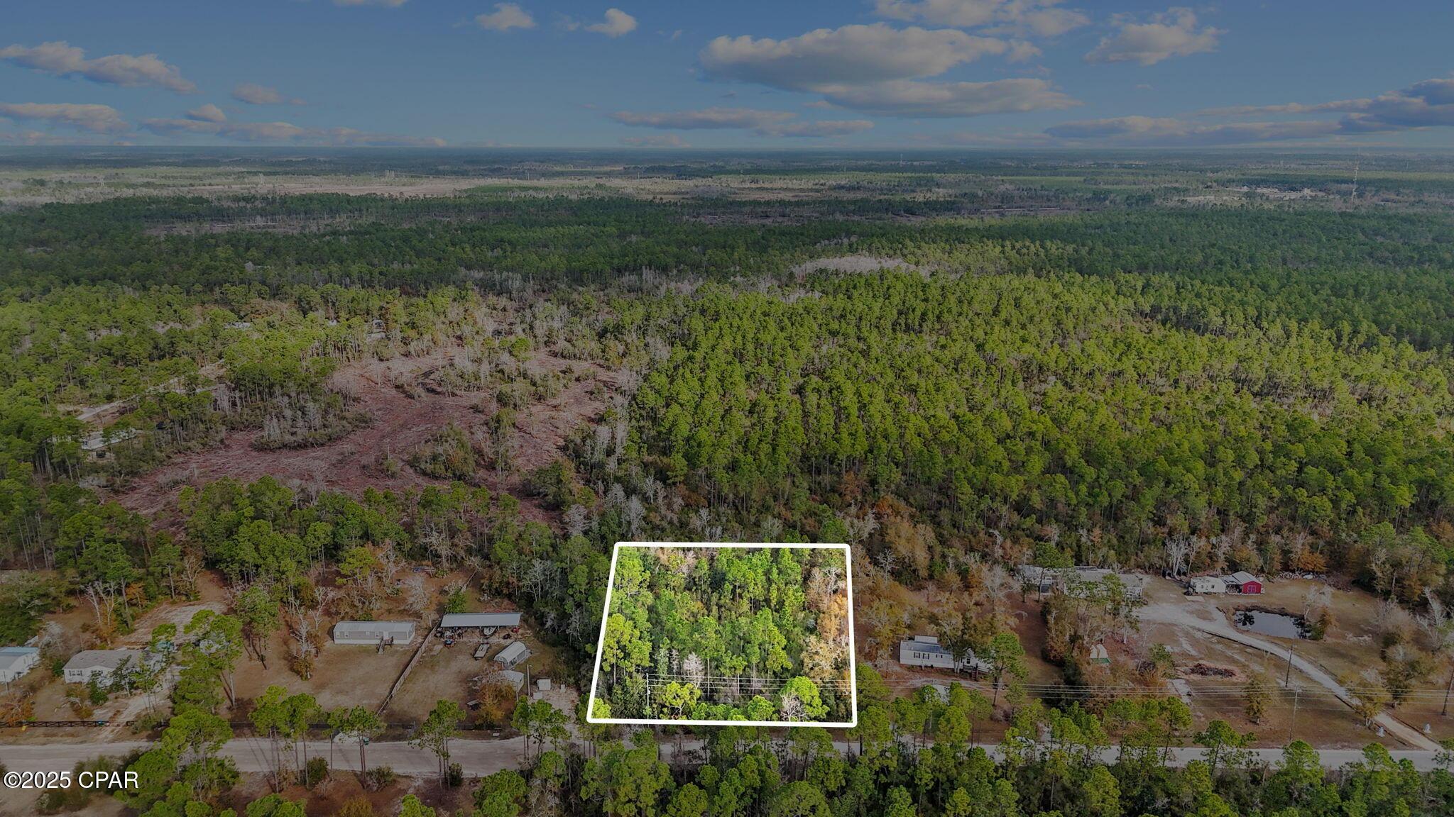 Image 1: 1-web-or-mls-371 Newman-1