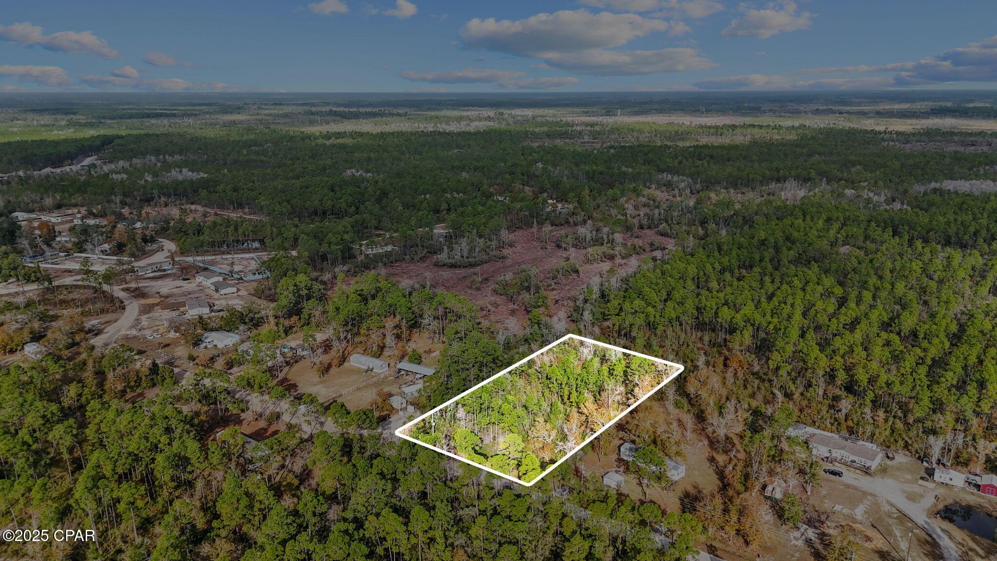 Image 2: 2-web-or-mls-371 Newman-2