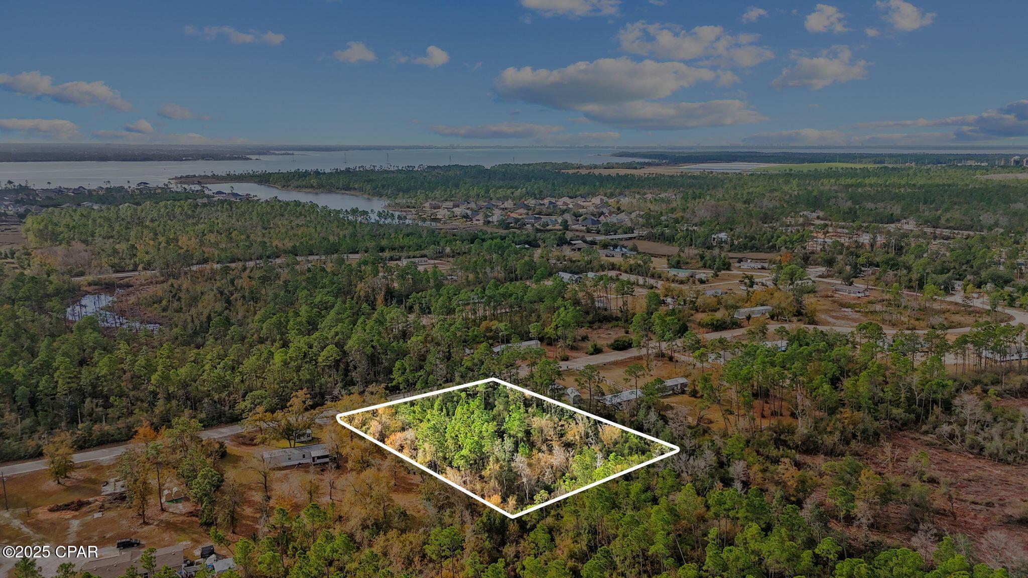 Image 3: 3-web-or-mls-371 Newman-3