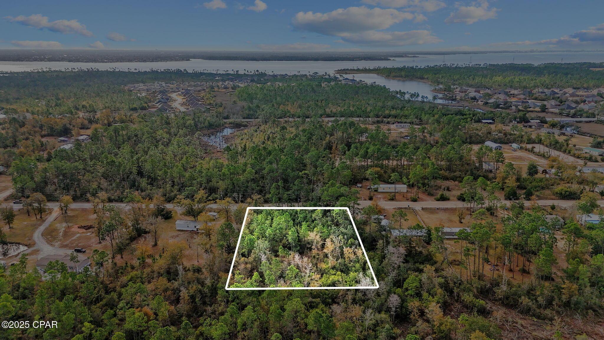 Image 4: 4-web-or-mls-371 Newman-4
