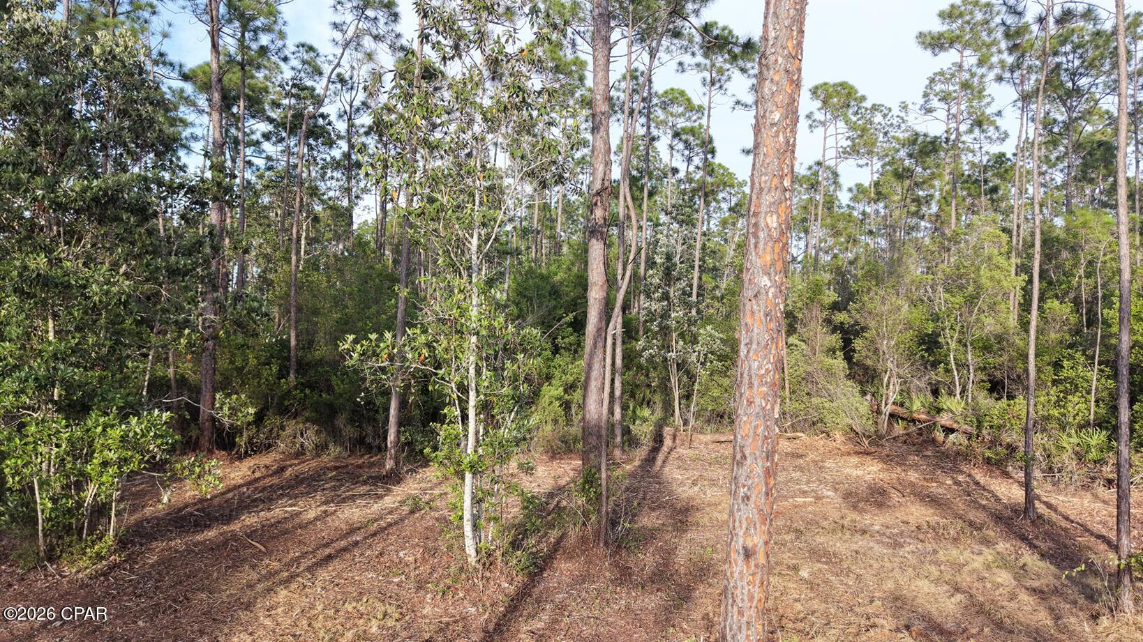 Image 2: Laird Point - Cleared - New