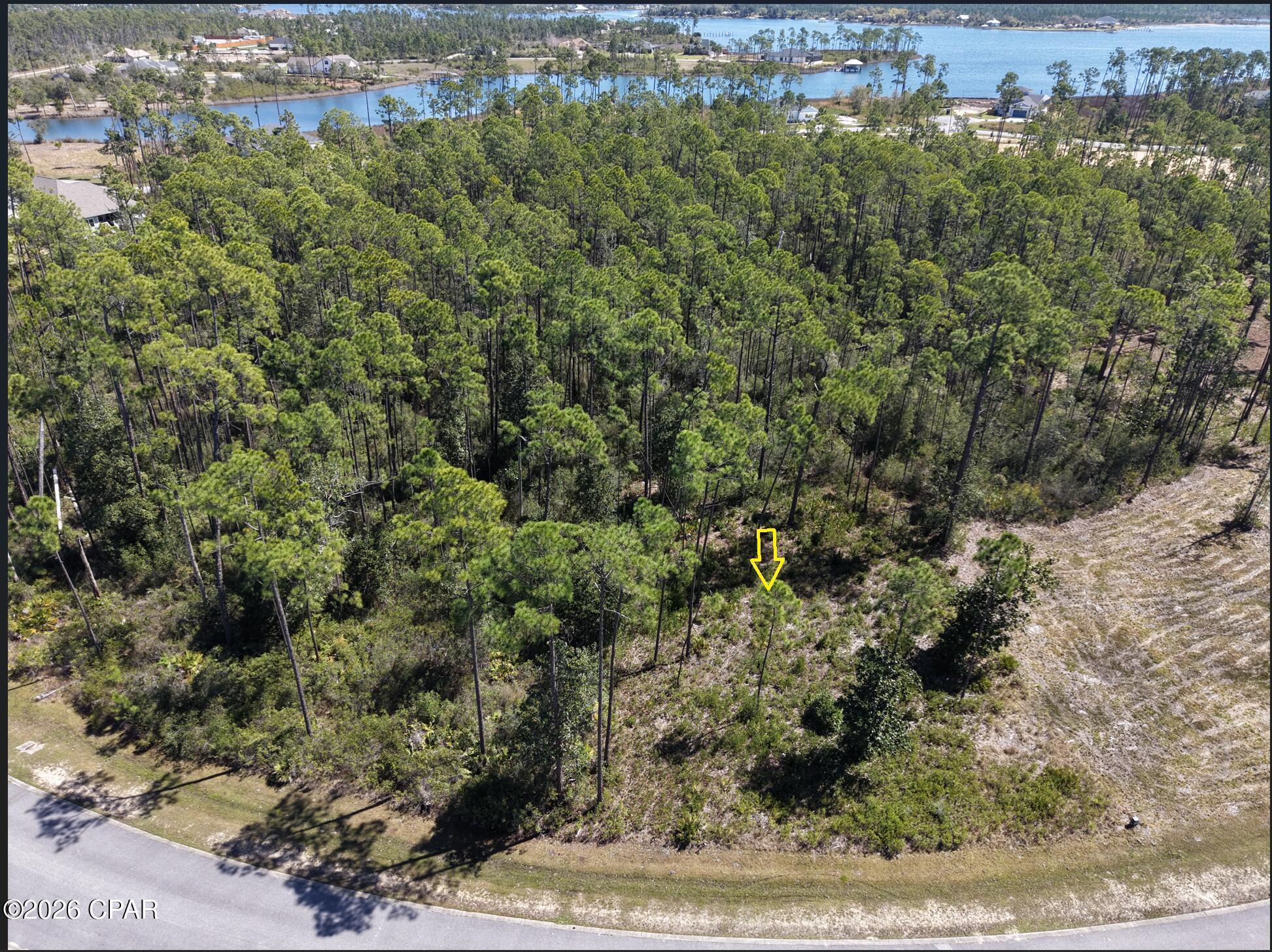 Image 4: Watermark Way 3