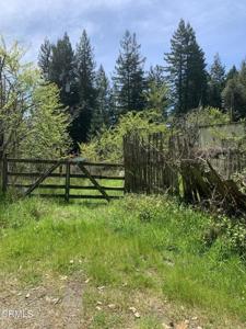 23501 Branscomb Road