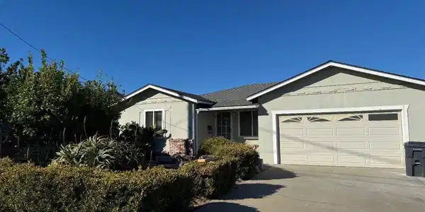 446 Kelli Court