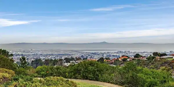 320 Vallejo Drive