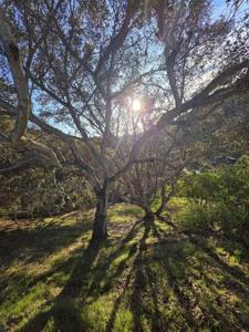 0 0 Longfellow Dr