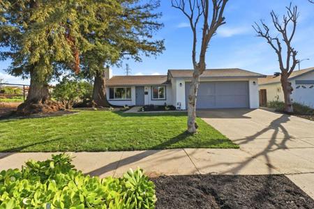 2272 Shadowtree