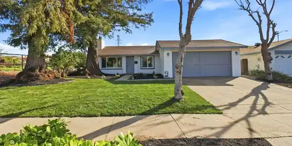 2272 Shadowtree