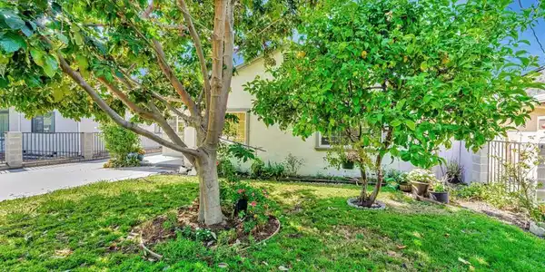 1127 Madera Ave