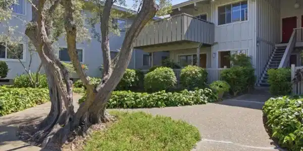 255 S Rengstorff Avenue