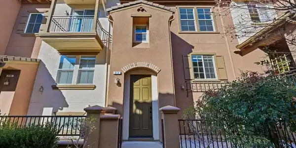 212 Boston Fern