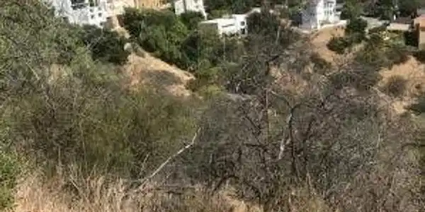 1 Latigo Cyn & Ocean View