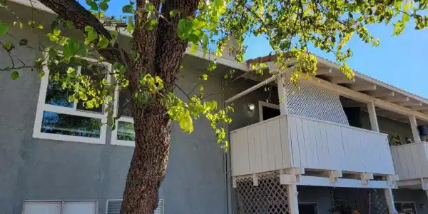 1300 Saratoga Avenue
