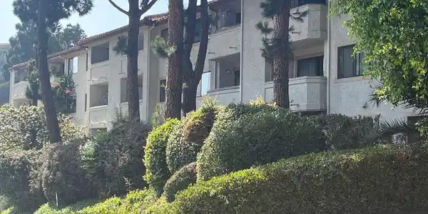 501 Palisades Drive