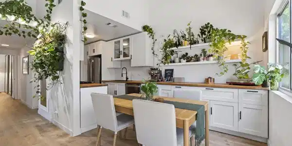 262 W Vineyard Avenue