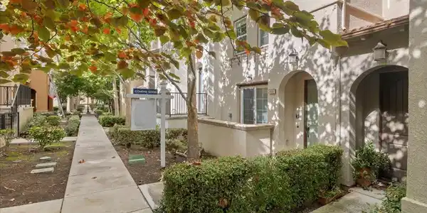 496 Kahlo Street