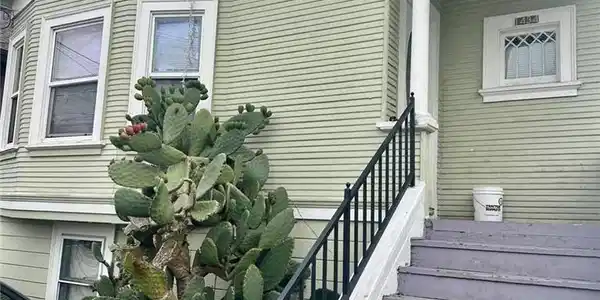 1434 40th