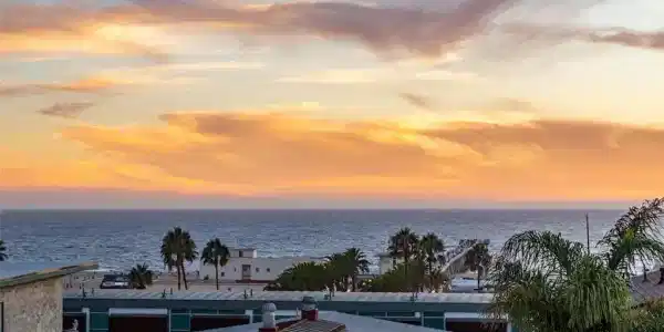 1136 Monterey