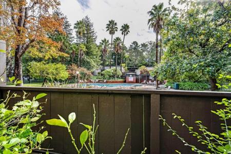 6145 Shelter Creek Lane