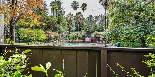 6145 Shelter Creek Lane