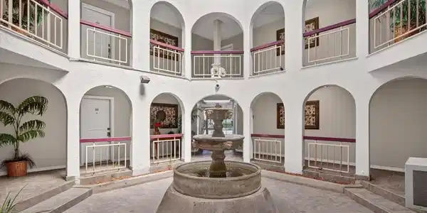Image 4