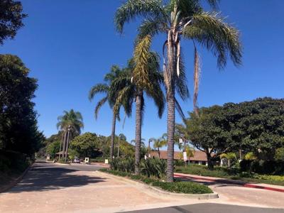 6645 Caminito Scioto