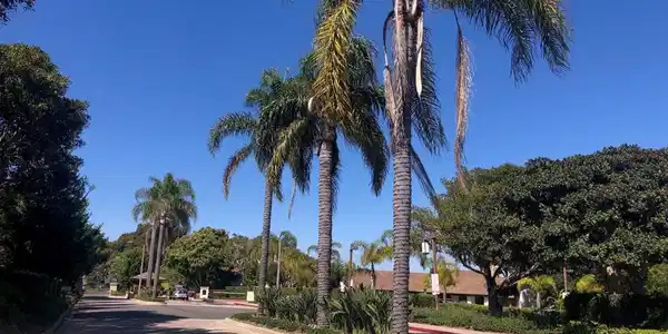 6645 Caminito Scioto