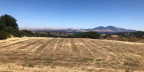 5601 Alhambra Valley Rd