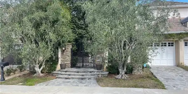 19 Bridgeport Road