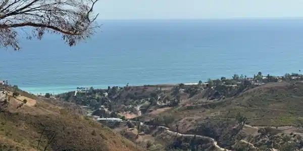 2677 Rambla Pacifico