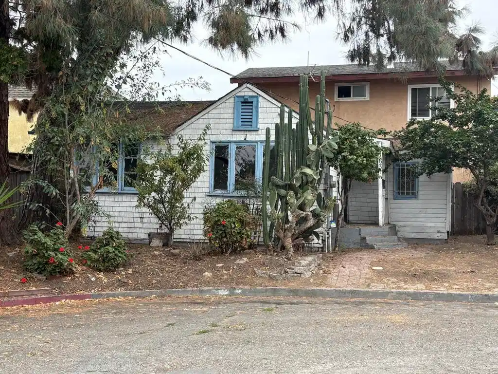 Image 1
