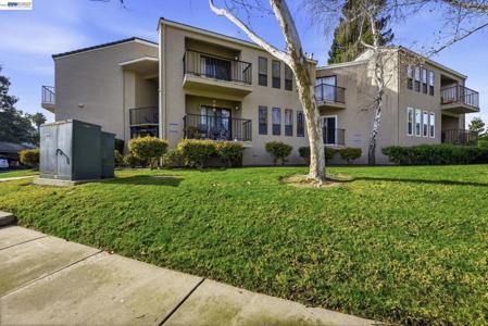 39490 Albany Cmn