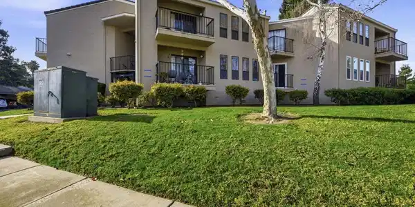 39490 Albany Cmn