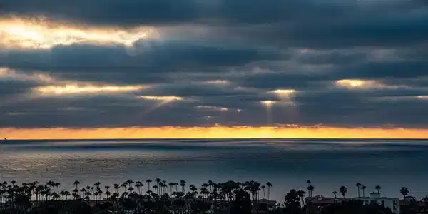 2500 Torrey Pines Road
