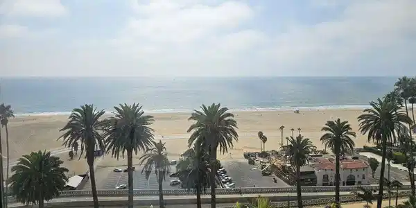 101 California Avenue