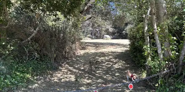 0 Pine Drive