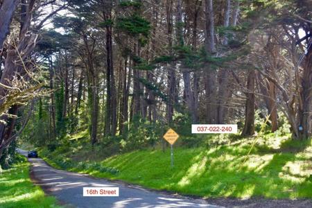 37022240 Carlos Street