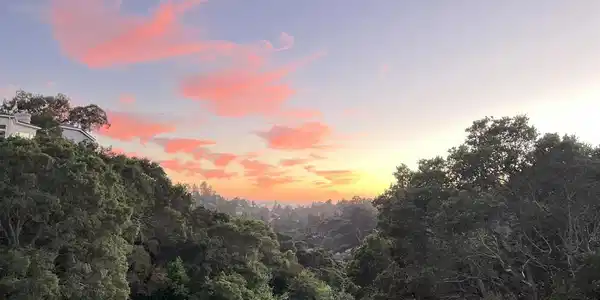1715 Alhambra Ln