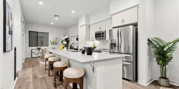 255 Elm