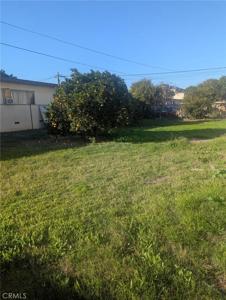 1617 W 228th