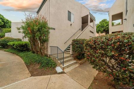 3266 Ashford St.