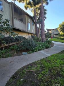 832 Coriander Drive