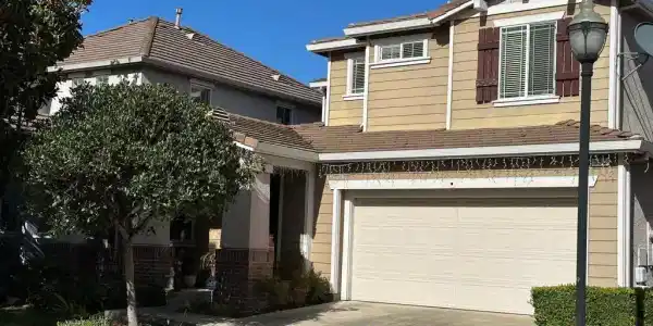 584 Silver Maple Drive