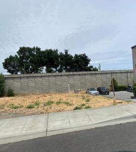 1477 El Camino Real