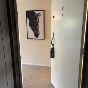 3295 La Mesa Drive