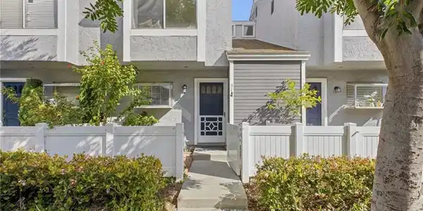 31 Dogwood