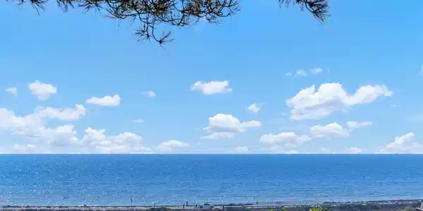 12926 Caminito De Las Olas
